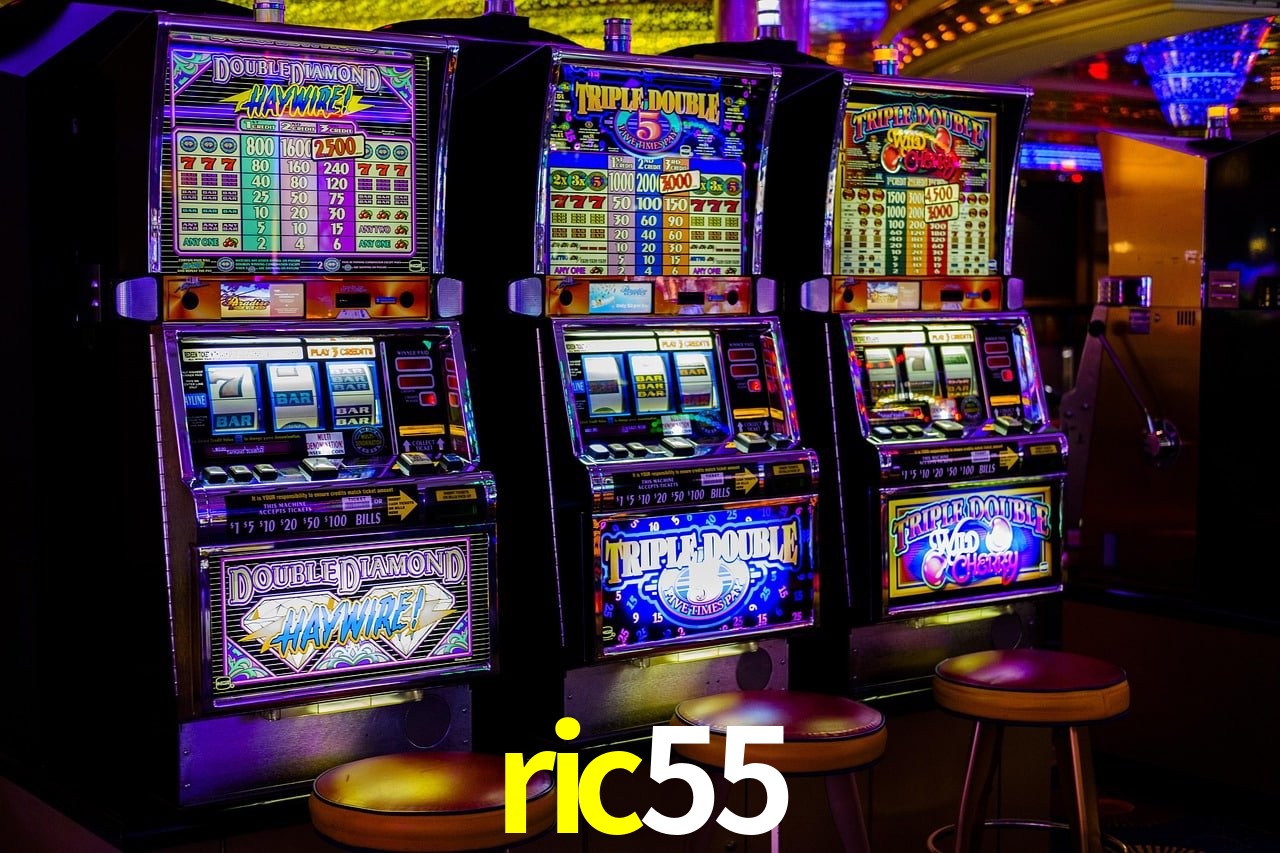 Programa VIP ric55