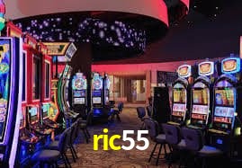 Sistemas de Segurança ric55
